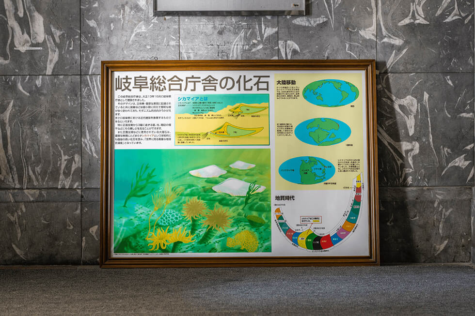 旧庁舎化石の写真